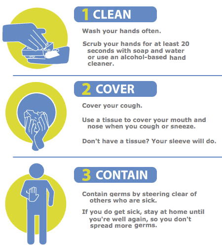 What are some common causes of the flu?